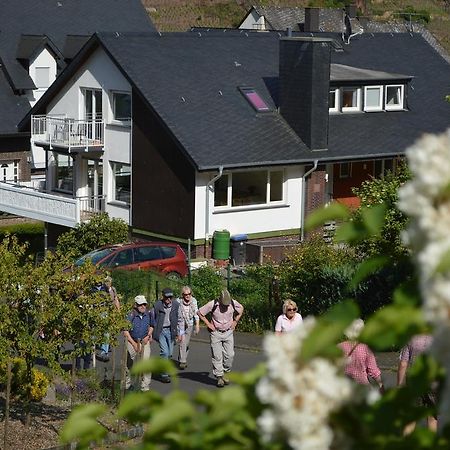Апартаменты Weingut Im Moselkrampen Элленц-Польтерсдорф Экстерьер фото